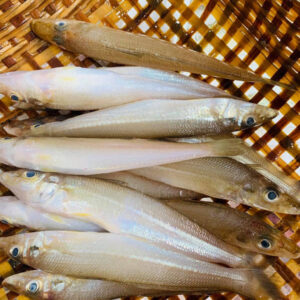 Cá đục