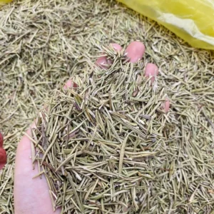 lá hương thảo khô